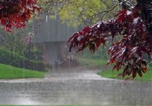 کاهش ۳۱ درصدی میزان بارش در فصل زراعی اردبیل