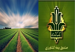 پایان بهمن،آخرین مهلت بیمه محصولات کشاورزی