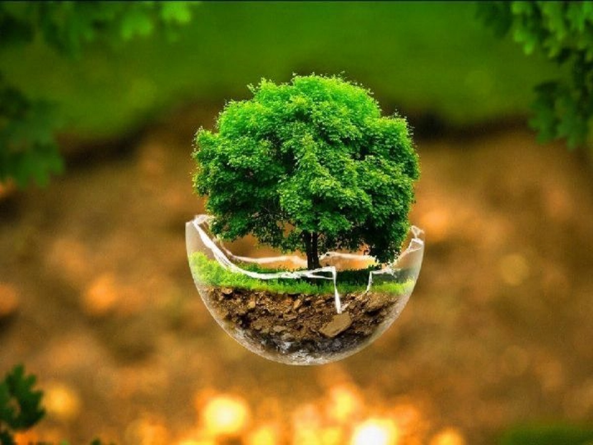 آموزش همگانی رویکردی اثربخش برای حفظ محیط زیست