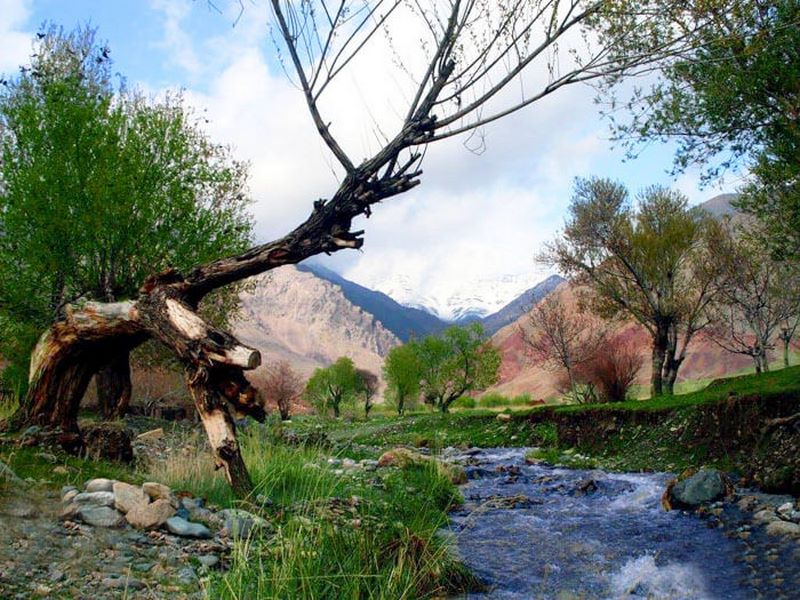 گردشگری زمستانی را در شهر و کشور خودمان تجربه کنیم/  گردشگری در مشهد هم سیاحت، هم زیارت