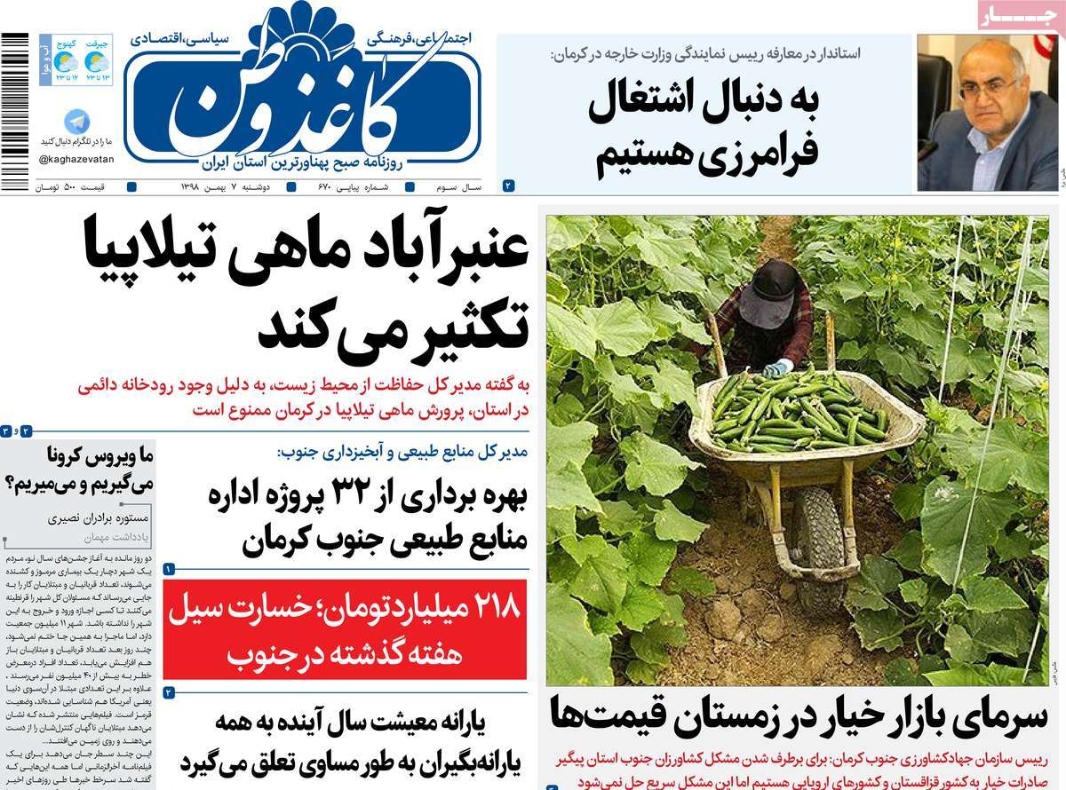 سرمای بازار خیار در زمستان قیمت ها / به دنبال اشتغال فرامرزی هستیم