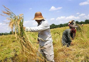 پرداخت بیش از ۱۱ میلیارد تومان زکات توسط روستاییان خراسان شمالی