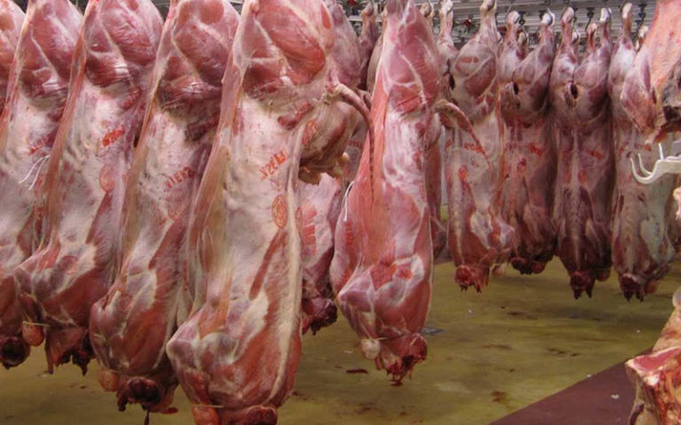 تولید ۳۰ درصد گوشت قرمز نیاز بازار استان در ایوان