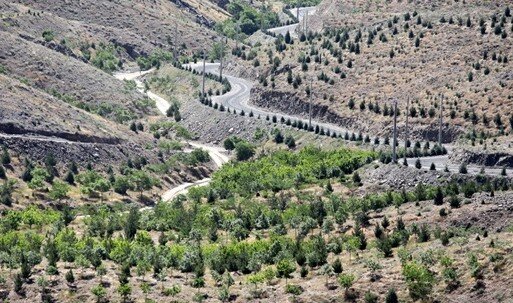 اجرای ۲۰ کیلو متر کمر بند حفاظتی در عرصه&zwnj;های منابع طبیعی همدان