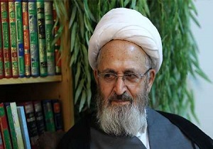 انتقاد آیت الله سبحانی از آتش زدن کتاب هاریسون