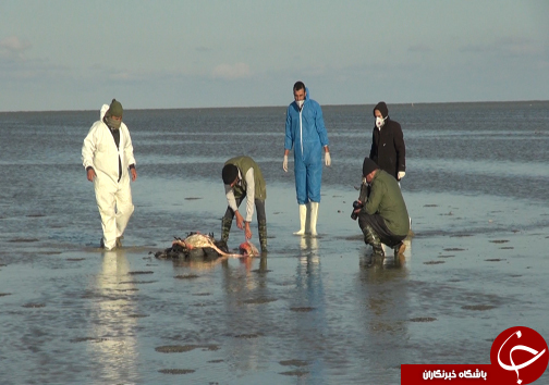 خالی شدن یک تکه از آسمان مازندران