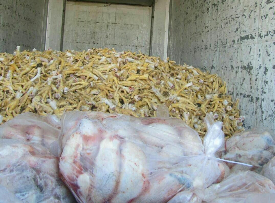 کشف بیش از ۳ تن آلایش دامی غیر مجاز در استان