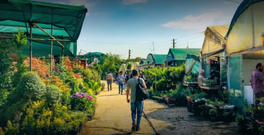 بازار گل محلاتی را بیشتر بشناسید
