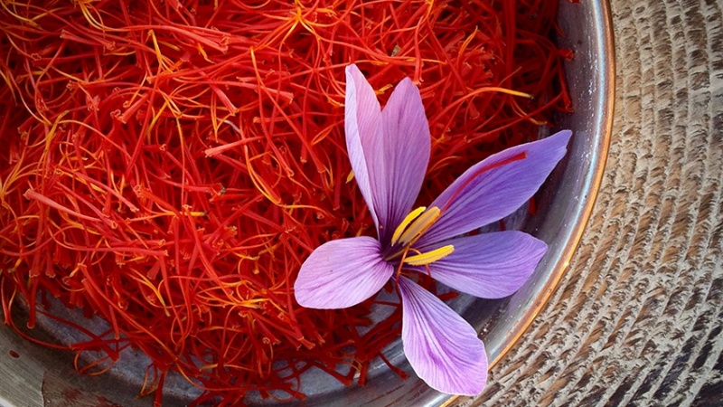 خانه نشینی صادرات طلای سرخ