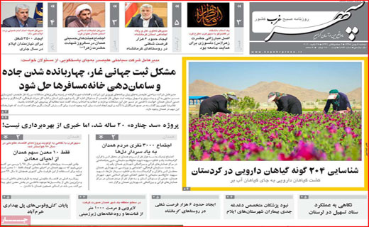 بازار داغ نام های غربی!/ مرثیه ای برای اخلاق/ دزدان خاکستری!