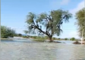 جاری شدن سیل در روستای «عورکی» چابهار