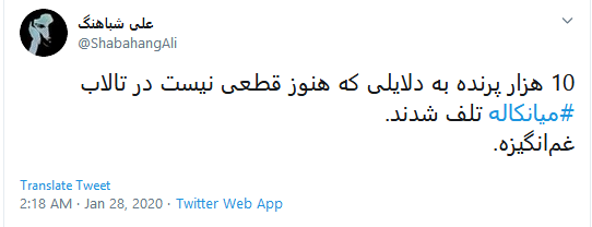 تاسف کاربران به مرگ دلخراش ۵۹۰۰ قطعه پرنده مهاجر در تالاب میانکاله #میانکاله تاسف کاربران به مرگ دلخراش ۵۹۰۰ قطعه پرنده مهاجر در تالاب میانکاله #میانکاله