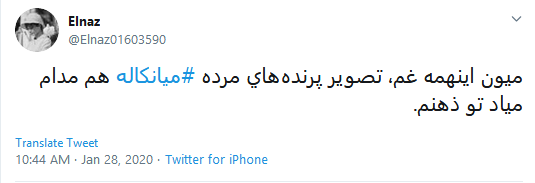 تاسف کاربران به مرگ دلخراش ۵۹۰۰ قطعه پرنده مهاجر در تالاب میانکاله #میانکاله تاسف کاربران به مرگ دلخراش ۵۹۰۰ قطعه پرنده مهاجر در تالاب میانکاله #میانکاله