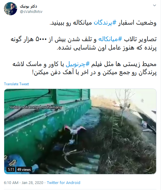 تاسف کاربران به مرگ دلخراش ۵۹۰۰ قطعه پرنده مهاجر در تالاب میانکاله #میانکاله تاسف کاربران به مرگ دلخراش ۵۹۰۰ قطعه پرنده مهاجر در تالاب میانکاله #میانکاله