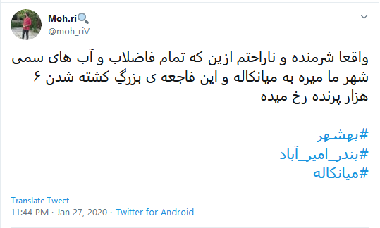 تاسف کاربران به مرگ دلخراش ۵۹۰۰ قطعه پرنده مهاجر در تالاب میانکاله #میانکاله تاسف کاربران به مرگ دلخراش ۵۹۰۰ قطعه پرنده مهاجر در تالاب میانکاله #میانکاله