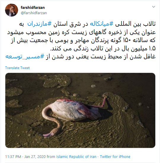 تاسف کاربران به مرگ دلخراش ۵۹۰۰ قطعه پرنده مهاجر در تالاب میانکاله #میانکاله تاسف کاربران به مرگ دلخراش ۵۹۰۰ قطعه پرنده مهاجر در تالاب میانکاله #میانکاله