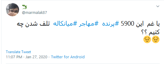 تاسف کاربران به مرگ دلخراش ۵۹۰۰ قطعه پرنده مهاجر در تالاب میانکاله #میانکاله تاسف کاربران به مرگ دلخراش ۵۹۰۰ قطعه پرنده مهاجر در تالاب میانکاله #میانکاله