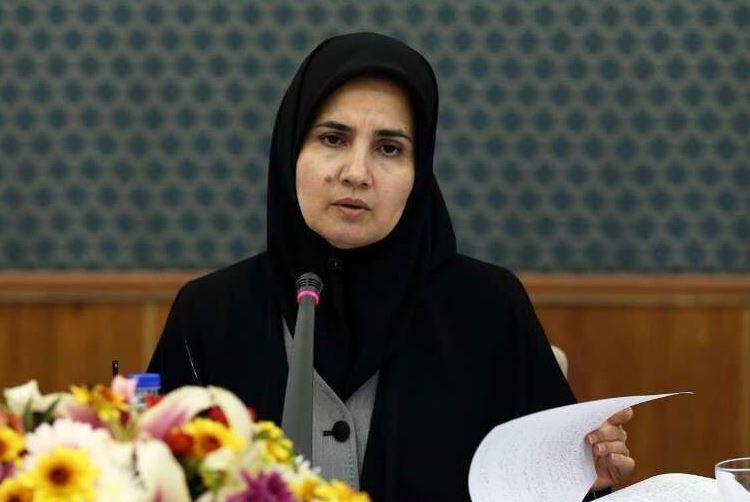 جنیدی: نظام قانونگذاری کشور یک ملقمه است