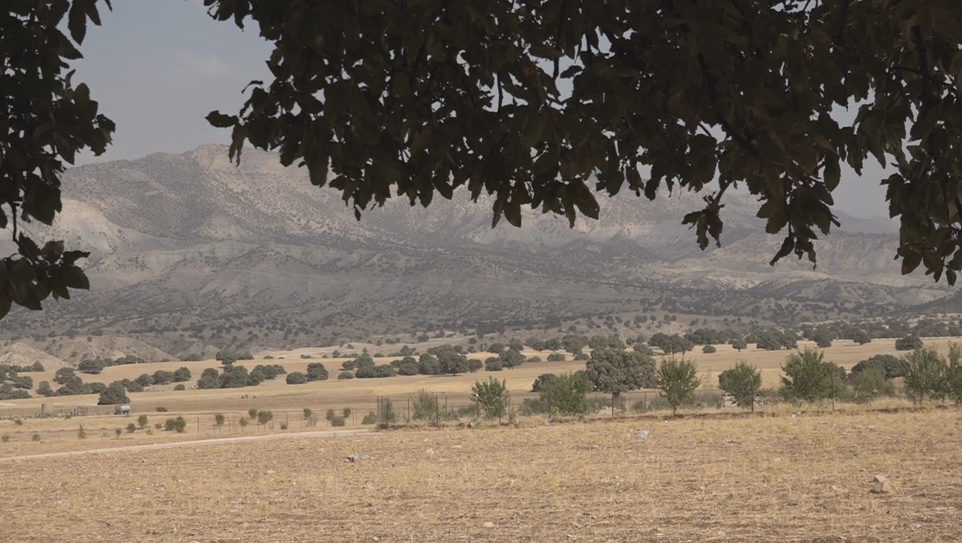 پربازدیدهای استانی