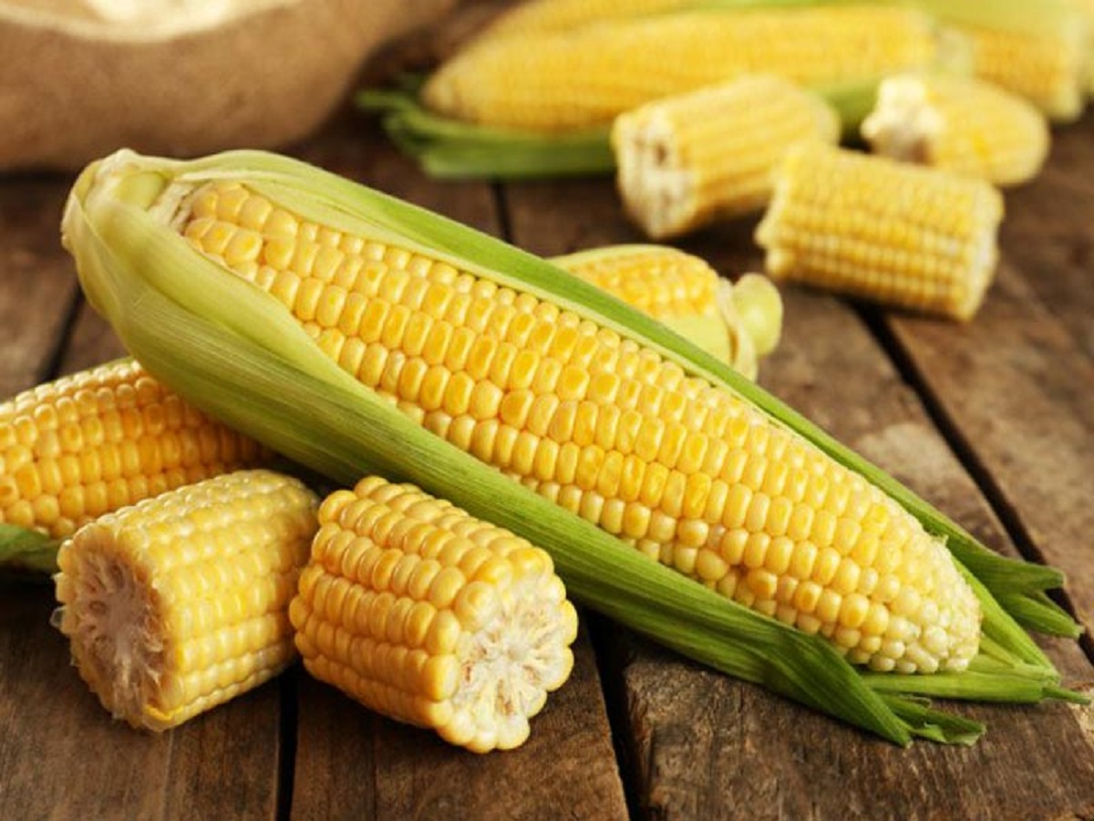 رهایی از بیماری‌های پوستی با روغن ذرت