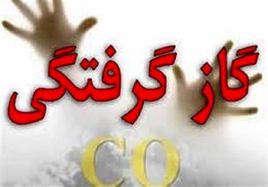 گاز گرفتگی در سقز چهار نفر را روانه بیمارستان کرد