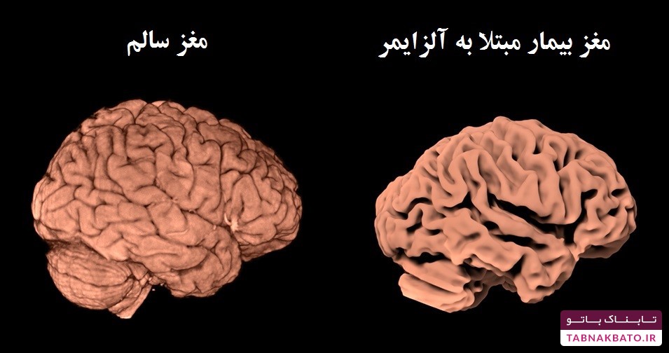 سخن پیامبر (ص) که در دانشگاه برگن نروژ ثابت شد
