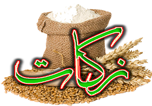 پرداخت بیش از ۱۲۷ میلیارد ریال زکات در سمنان
