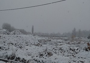 لحظات زیبای بارش برف در نهاوند + فیلم