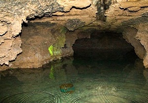 مصرف سرانه روزانه آب در آذربایجان شرقی بیش از ۲۰۰ لیتر است