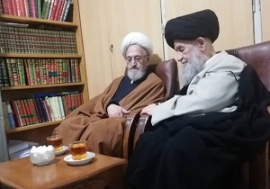 آیت‌الله علوی‌گرگانی به دیدار آیت‌الله سبحانی رفت
