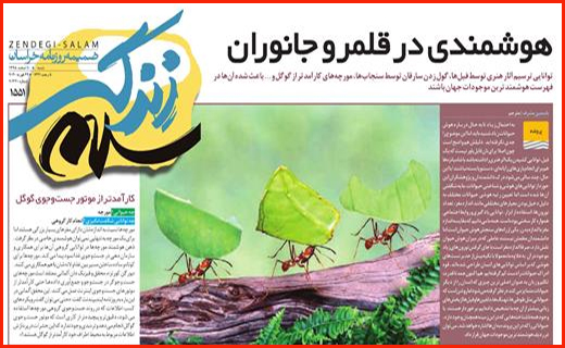 گلی به جمال فاجعه/ ویروس سودجویی، خطرناکتر از کرونا/ بی پناه میان امواج