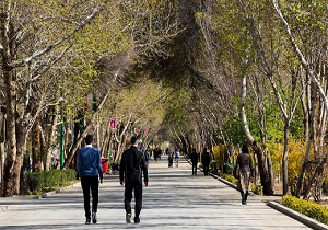 تاریک و روشن روزگار چهارباغ اصفهان
