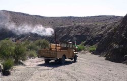 ۹۵۳ هکتار از مراتع سیستان و بلوچستان علیه ملخ صحرایی سمپاشی شد
