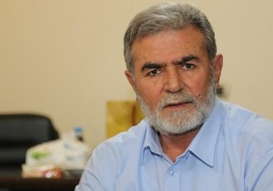 زیاد نخاله
