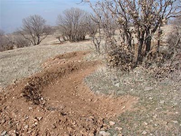 اجرای ۱۲۰ هزار چاله فلسی در شهرستان دره شهر