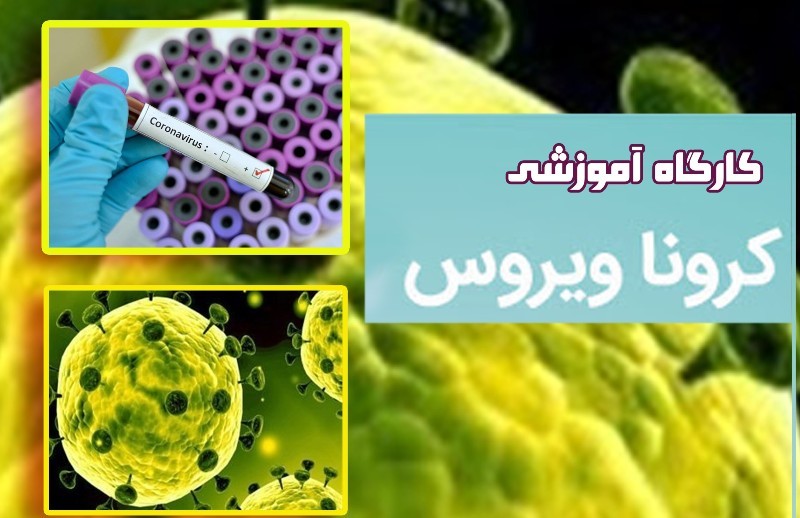 برگزاری دوره های آموزشی پیشگیری کرونابرای ۱۷ هزار از اولیا زنجانی