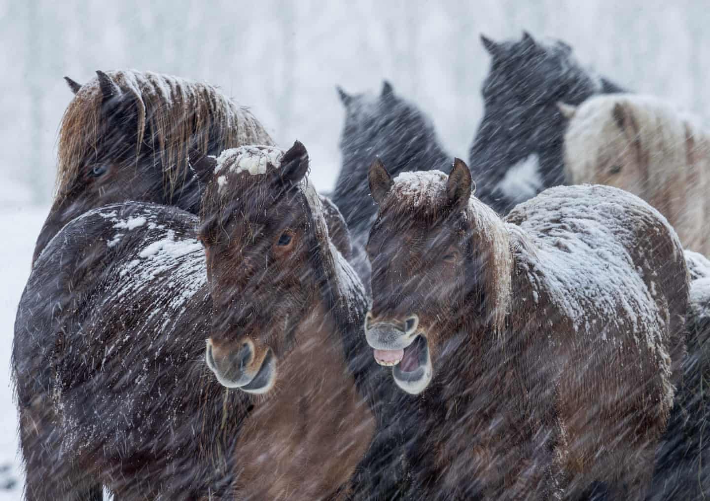 تصاویر روز: از صف طولانی برای دریافت ماسک در کره جنوبی تا تردد کامیون&zwnj;های حامل موشک&zwnj;های بالستیک قاره پیما در اتوبان روسیه