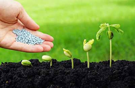توزیع بیش از ۶۳ هزار تن کود شیمیایی در آذربایجان غربی