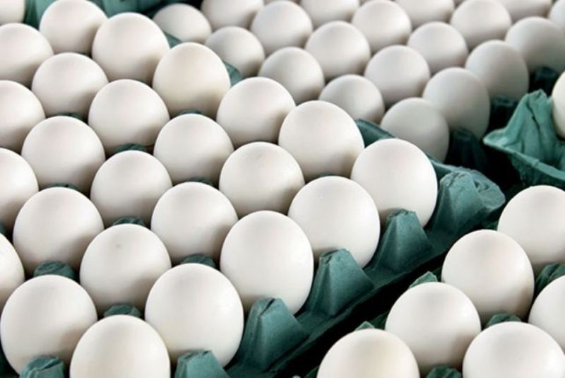 نحوه توزیع اقلام اساسی پس از شیوع ویروس کرونا/ کالاهای مختص شب عید را از کجا بخریم؟