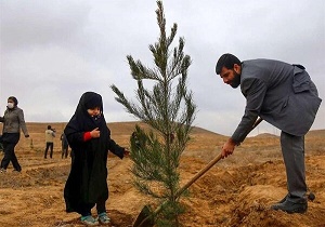 ۸۸۰ هزار نهال در استان سمنان غرس می‌شود