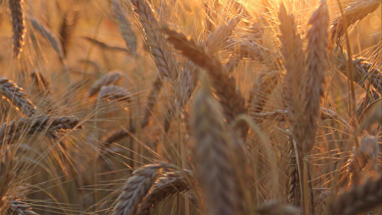 برترین تصاویر پس&zwnj;زمینه (۲۰ آبان)