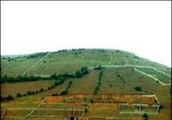 درآمد تضمینی ۲۰ ساله در تولیدی پرمنفعت برای کشور + فیلم