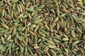 مکانیزه شدن کشت زیره در مرودشت