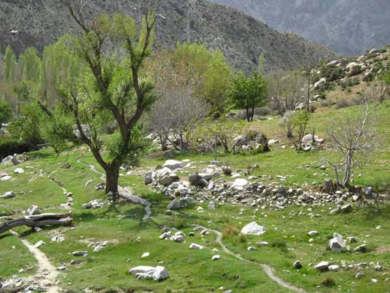 مناطق دیدنی رابر
