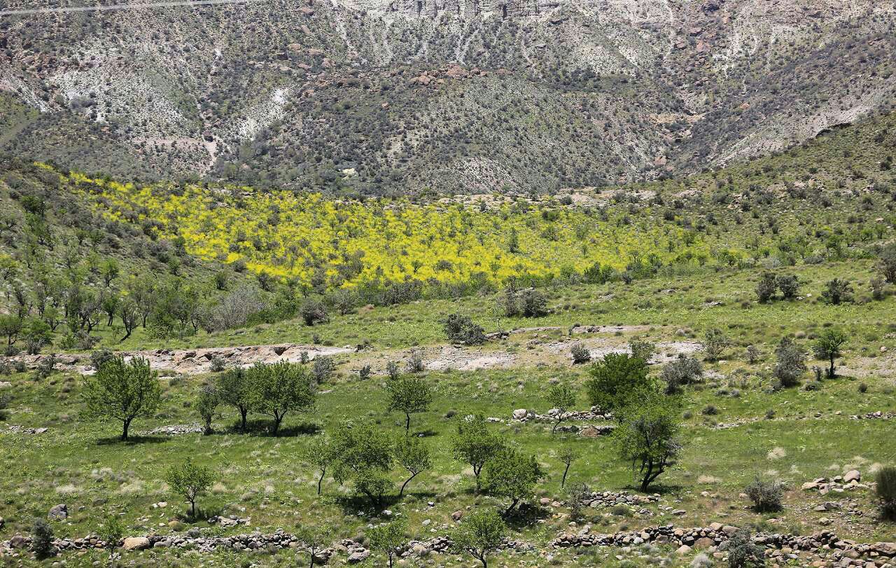 سفر به دیار بابک ساسانی در استان کرمان
