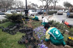 آغاز زیباسازی اطراف حرم مطهر رضوی برای استقبال از نوروز ٩٩