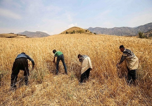 سدهای خوزستان، سرریز از آب/بارش باران و رونق کشاورزی در استان