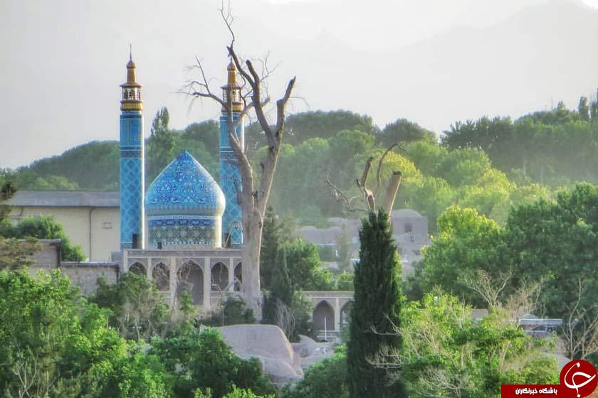 نگین دیار کریمان در انتظار میهمانان نوروزی + تصاویر
