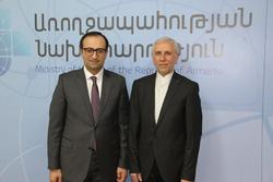 دیدار سفیر جمهوری اسلامی با وزیر بهداشت ارمنستان