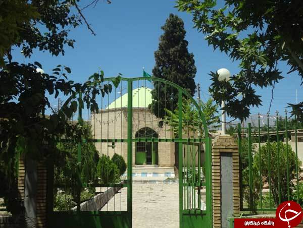 نگین دیار کریمان در انتظار میهمانان نوروزی + تصاویر